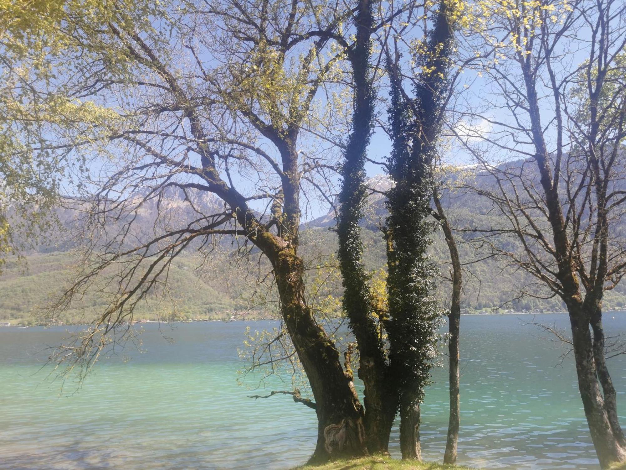 Charmant Appartement A 1 Minute Du Lac Annecy Exterior foto